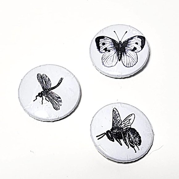 Set of 3 black & white Insect pins - badges - Picture 1 of 6